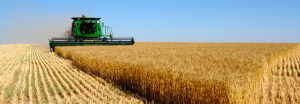 Coberturas integrales para toda la cadena agroindustrial