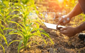 Soluciones IoT para impulsar la transformación digital en el agro