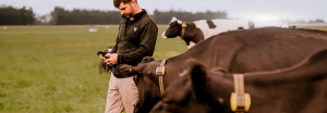 Soluciones integrales para la ganadería de precisión, permiten al productor contar con información en tiempo real