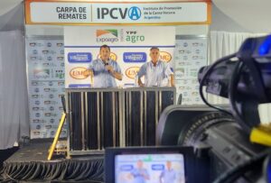 La consignataria UMC – Haciendas Villaguay rematará en la Nacional Primavera Braford