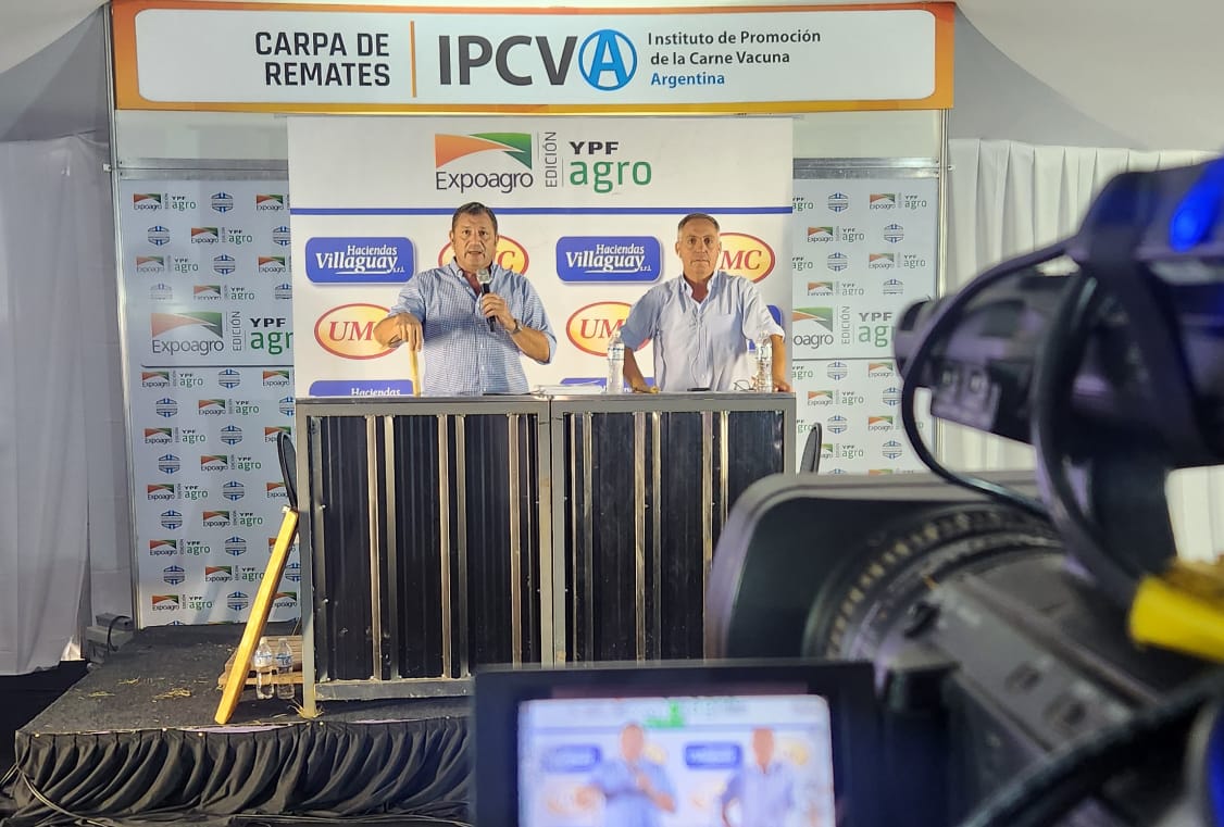 La consignataria UMC – Haciendas Villaguay rematará en la Nacional Primavera Braford
