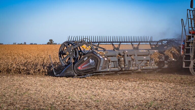 Piersanti celebra sus 40 años y apuesta fuerte de cara al futuro