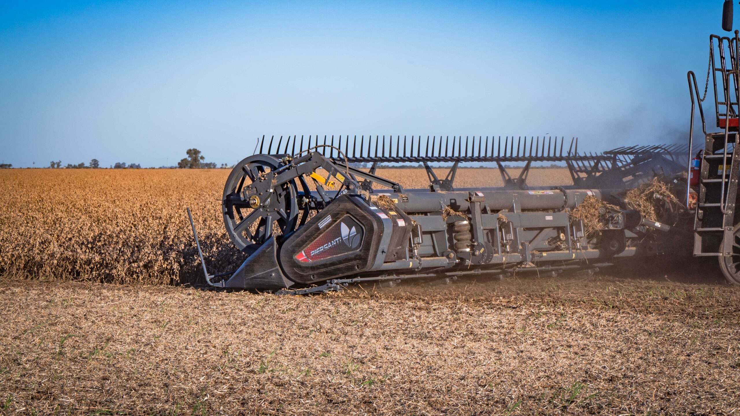 Piersanti celebra sus 40 años y apuesta fuerte de cara al futuro