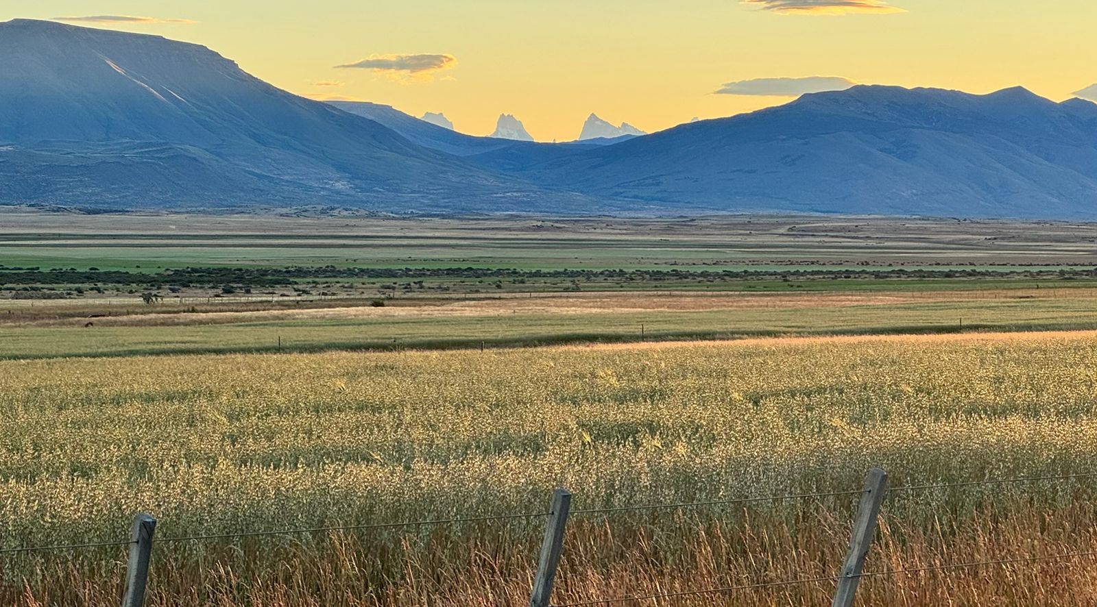 Revolución productiva: Cereales, ganado y naturaleza conviven en un paisaje idílico de la Patagonia