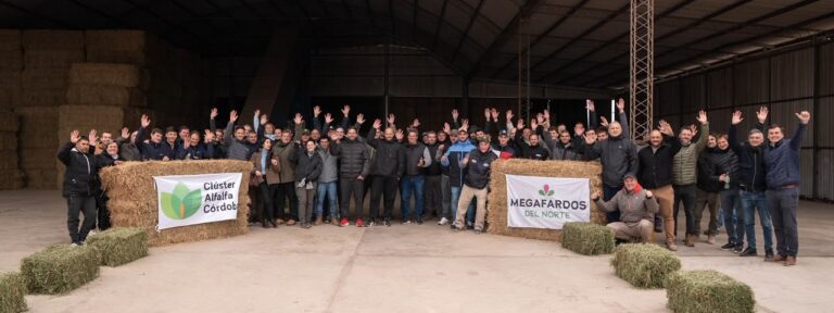 La alfalfa argentina busca blindarse del clima con tecnología de secado para consolidar su perfil exportador