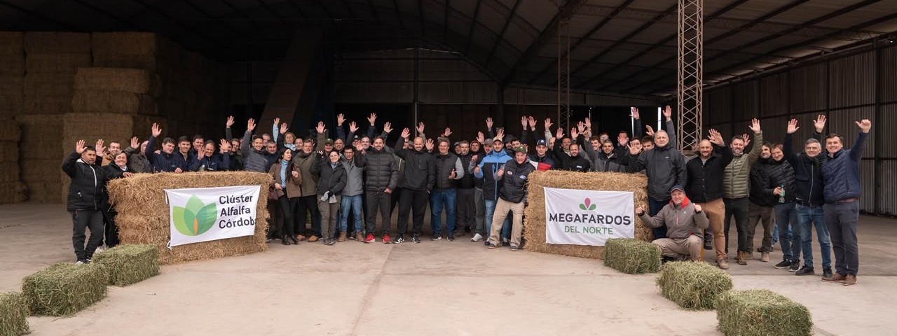 La alfalfa argentina busca blindarse del clima con tecnología de secado para consolidar su perfil exportador