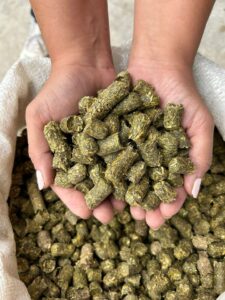 Pellets de alfalfa “Don Diez”, el “bombón para animales” con gusto santiagueño