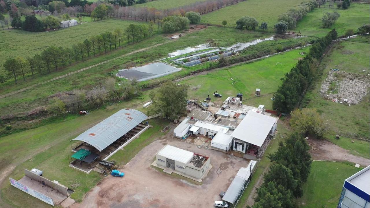 Edgardo Mengascini reabrió un frigorífico de cerdos a finales de los 90’ y ahora pilotea “La Nobleza”, en un nuevo contexto de complejidad