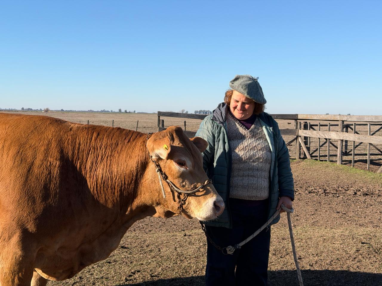 Con el campo en la sangre: La docente jubilada que se enamoró de la raza Limousin