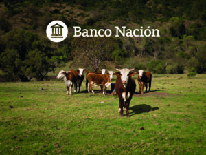 Banco Nación desembarca en Margarita Belén para acompañar a la comunidad Braford