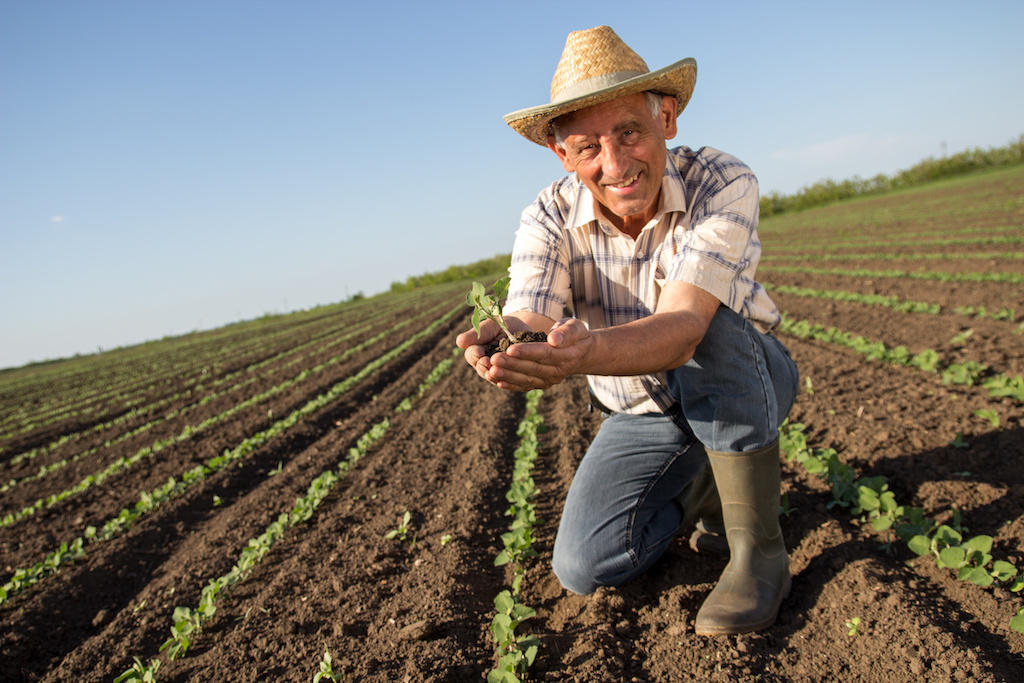 Visa continúa potenciando Visa Agro con beneficios en el mundo digital