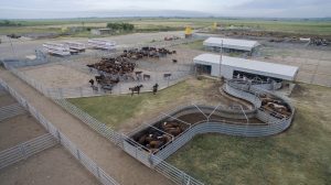 24/01 – LOS CORRALES DE EXPOAGRO CONTARÁN CON INSTALACIONES PARA EL BIENESTAR ANIMAL