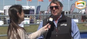 Visión estratégica en la cría de ganadería