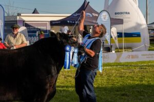 Don Cholo se consagró con el Gran Campeón Macho de Primavera y La Juanita logró el Gran Campeón Ternero