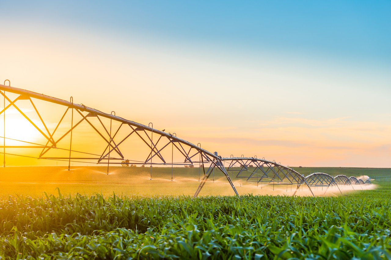 Una gama de productos con base en energía solar ofrece soluciones para las necesidades del agro