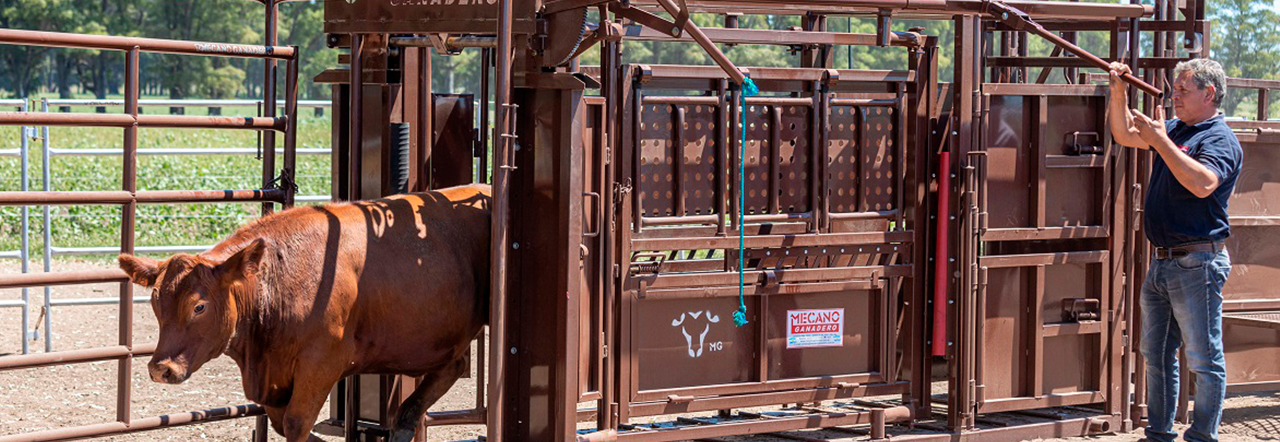 Mecano ganadero: sinónimo de eficiencia y manejo