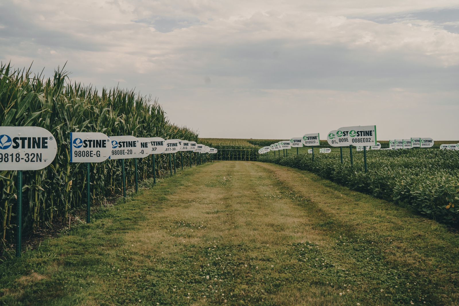 Stine hace historia: debutará en la exposición agroindustrial más grande de la región