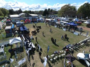 La ganadería ya palpita la 44° Exposición Nacional Angus de Primavera con la fuerza de Expoagro