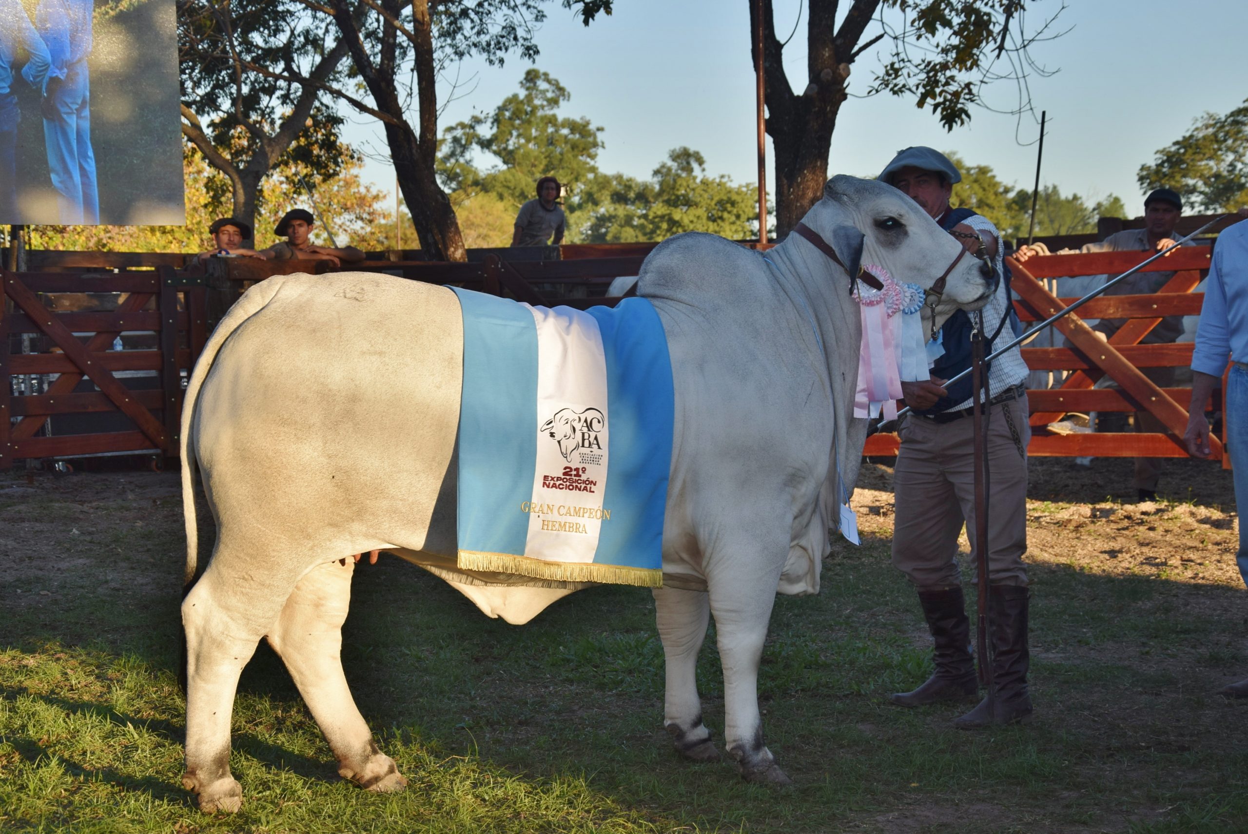 Desde Santa Fe llegaron los Grandes Campeones Brahman