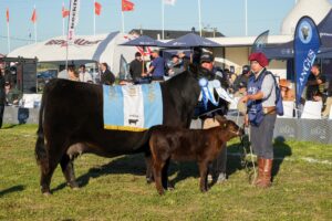 La Gran Campeón Hembra brilló en Cañuelas: el primer premio fue para Arandú