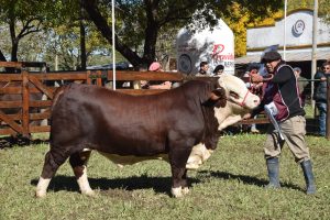 Conocé la agenda del 3° día de Las Nacionales
