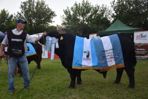 Brangus se lució en la pista y consagró a sus Grandes Campeones