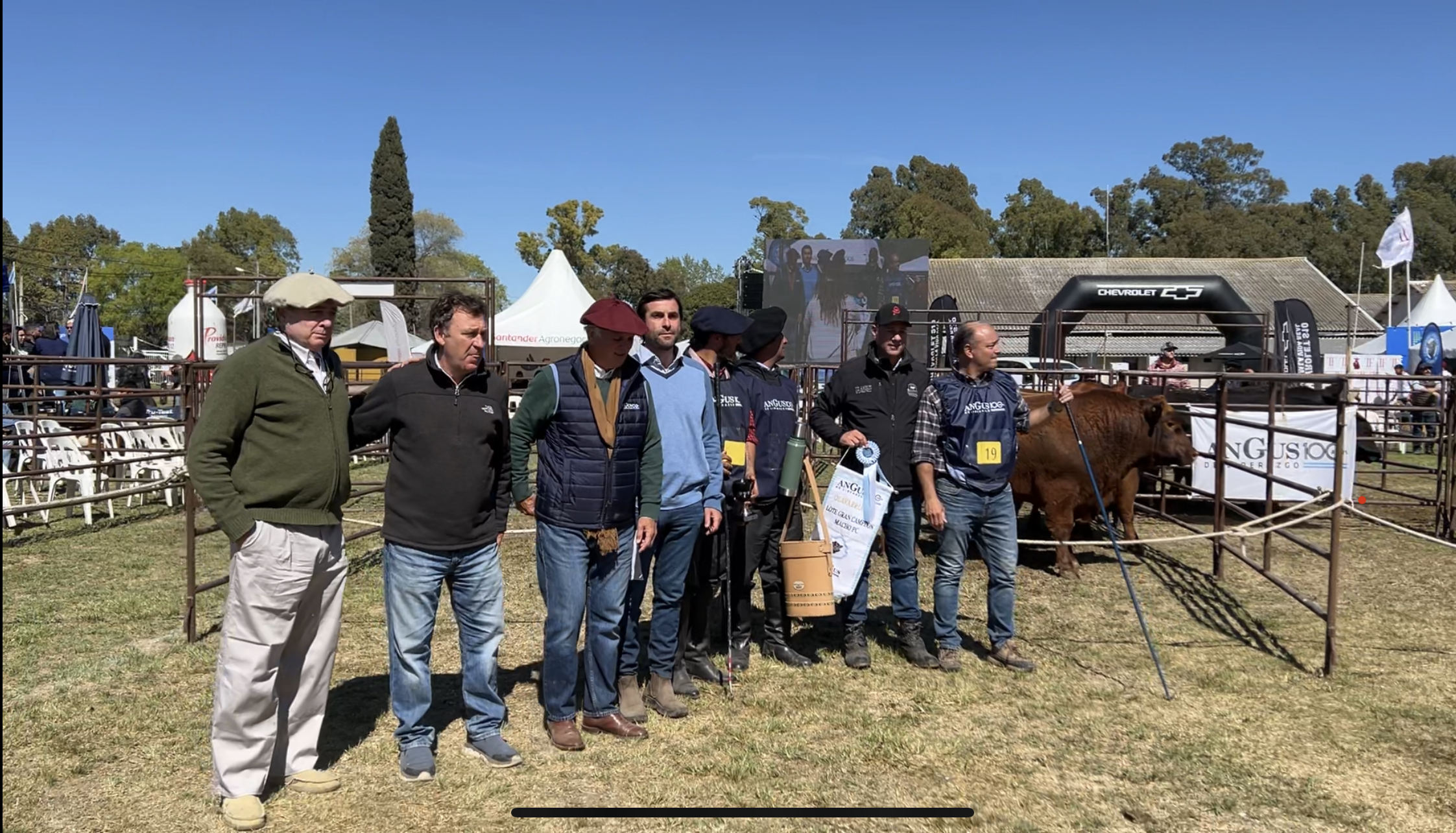 Angus: Los Puro Controlado brillaron en Olavarría