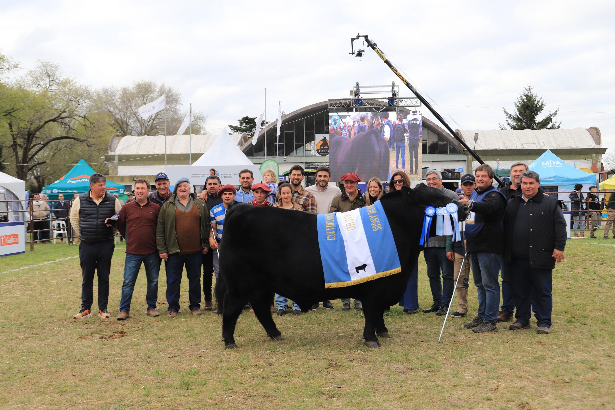 La Nacional Angus de Primavera tiene a sus Grandes Campeones