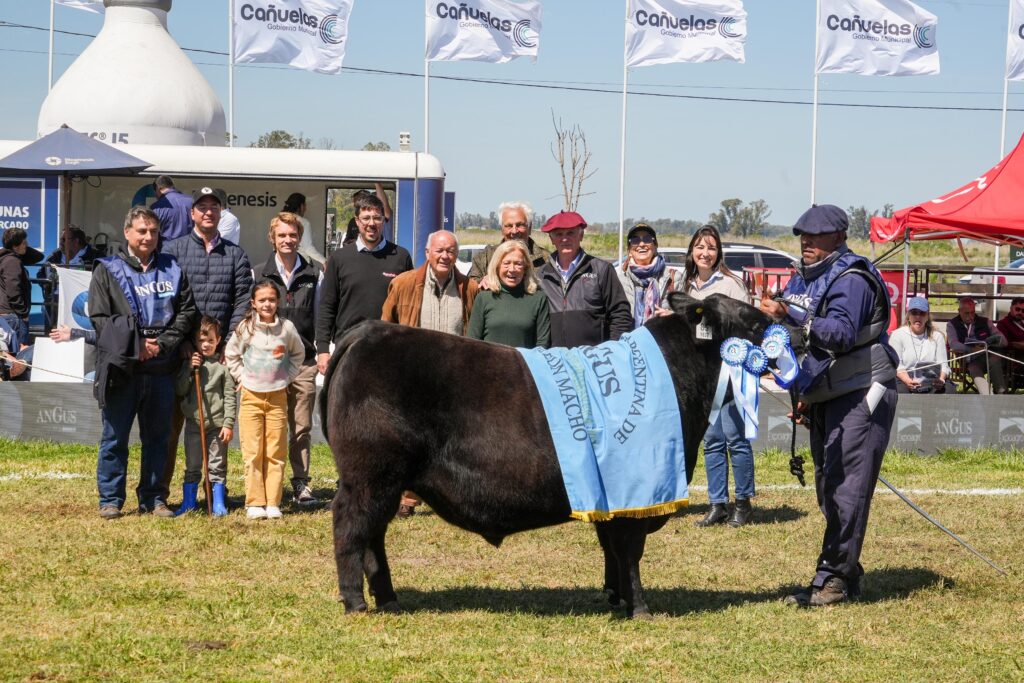 Gran Campeón Ternero