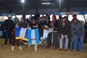 Braford eligió los mejores terneros de la Exposición Internacional