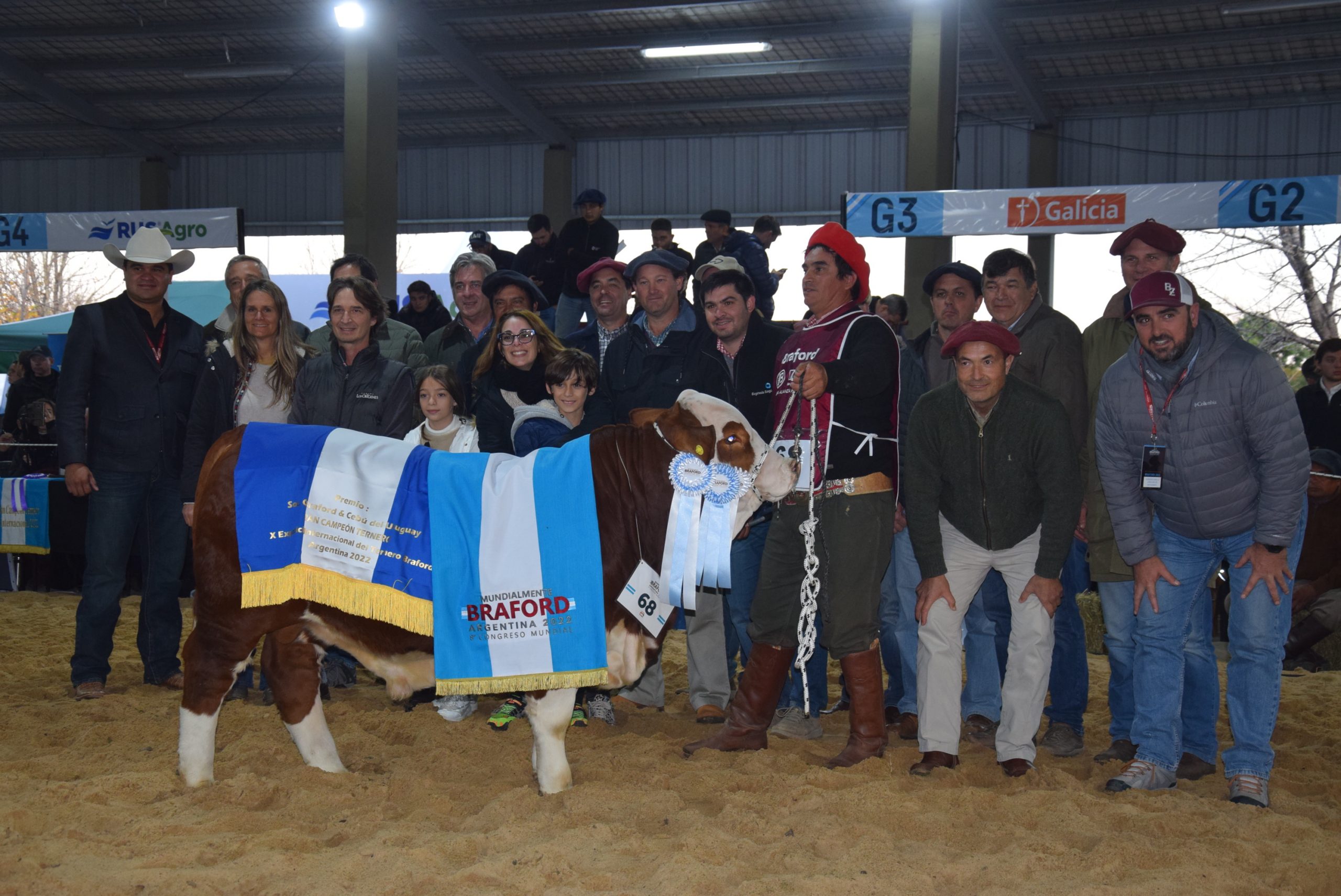 Braford eligió los mejores terneros de la Exposición Internacional