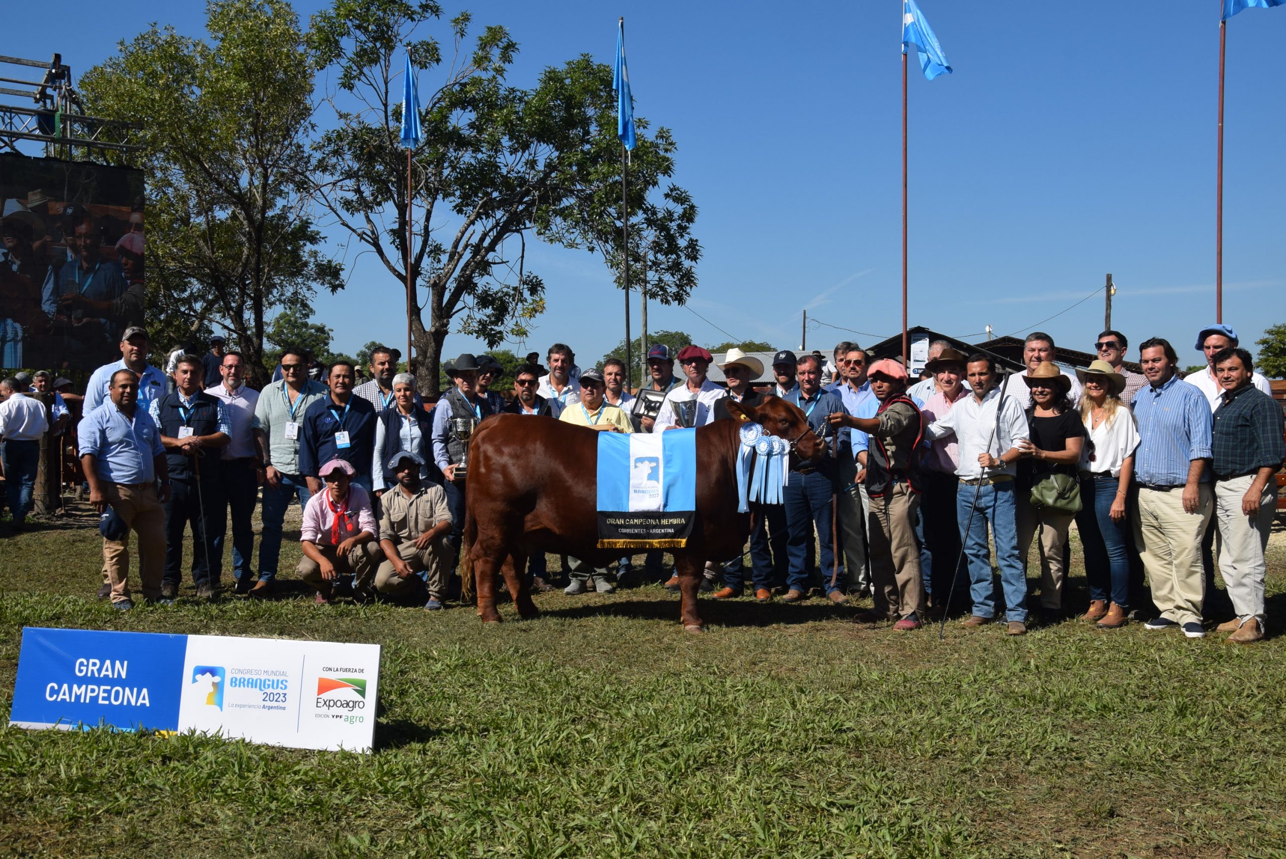 El Congreso Mundial Brangus tiene a sus Grandes Campeones