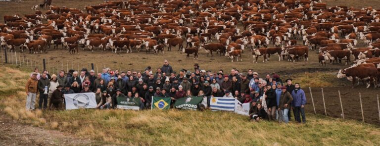 Hereford Argentina refuerza su liderazgo con una gira ganadera en Tierra del Fuego
