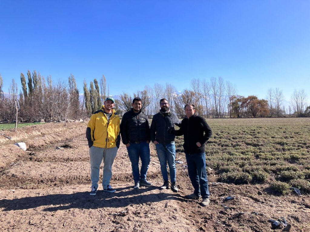 De izq. A der.: Alfredo Baroni, Juan Ignacio Pina, Diego Araya y productor de orégano.