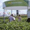 Los mensajes de los plots en Expoagro