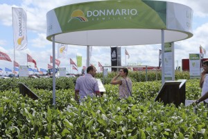 Los mensajes de los plots en Expoagro