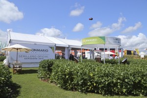 13/01 – DONMARIO SE PREPARA CON TODO PARA LA MEGAMUESTRA