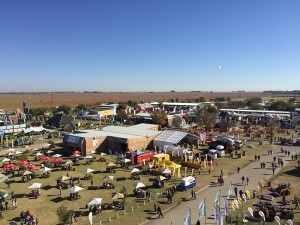 12/05 -TRECE FIRMAS ARGENTINAS PARTICIPARÁN DE LA MISIÓN COMERCIAL A SUDÁFRICA