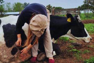Simuladores digitales ganaderos para escuelas técnicas agrarias