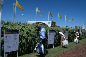 En Expoagro, innovación desde la semilla