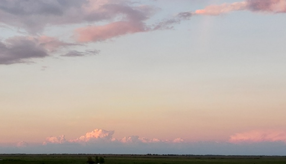 Temperaturas elevadas y lluvias normales, el escenario para cultivos de verano