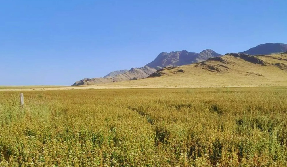 Promueven prácticas para compatibilizar producción y conservación en sistemas ganaderos