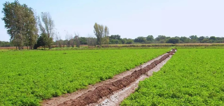 La eficiencia en el riego potencia la competitividad de la alfalfa