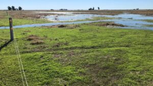 Mapas de excedentes hídricos se incorporan a la plataforma SEPA