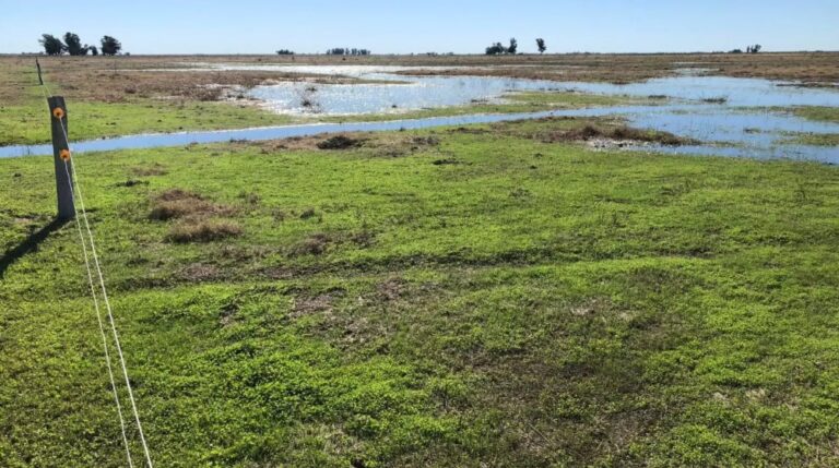 Mapas de excedentes hídricos se incorporan a la plataforma SEPA