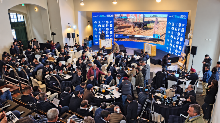 Banco Nación y ROSGAN impulsan el Gran Remate Aniversario con la fuerza de Expoagro