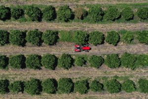 Innovadores equipos para trabajar en frutales, viñedos y horticultura