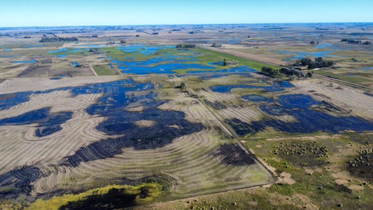 Inundaciones en 9 de Julio: el desafío de volver a producir