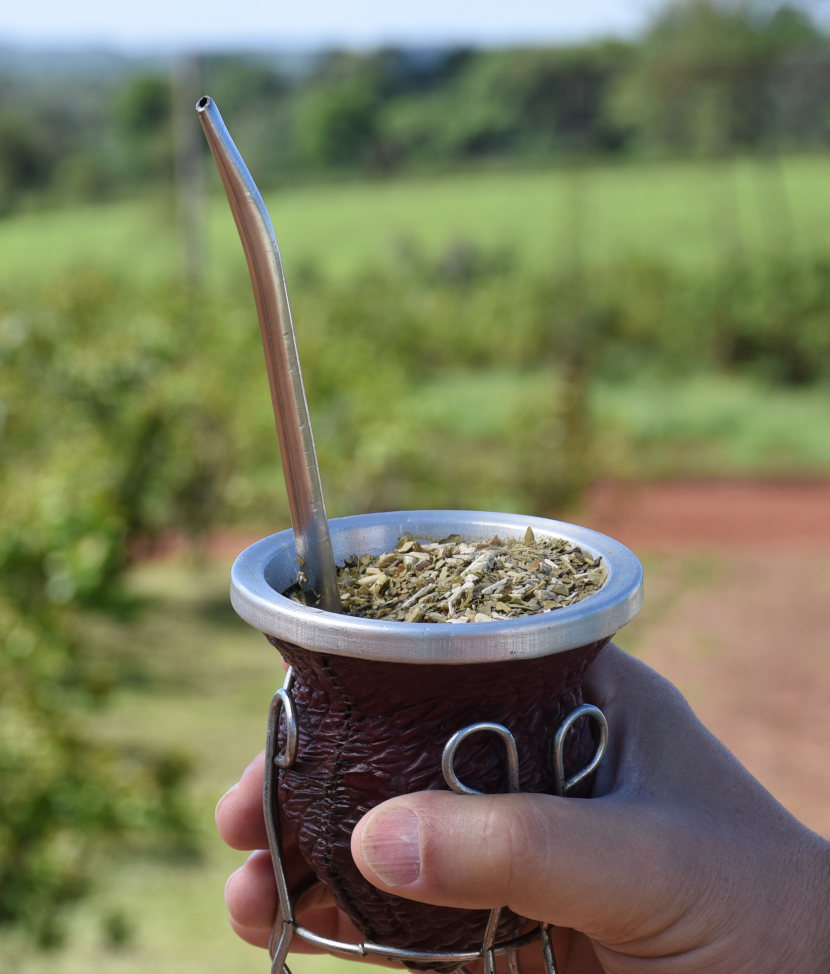 Las ventas de yerba mate superaron los 105 millones de kilos al cierre de abril