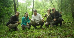 Afianzan la producción agroecológica de la yerba mate